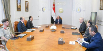 Sisi calls for harmonising conservation of historical sites with zonal development