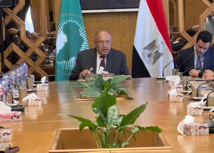 FM: Unity of African states, cooperation are 'milestone' to overcome challenges 1 - Egyptian Gazette