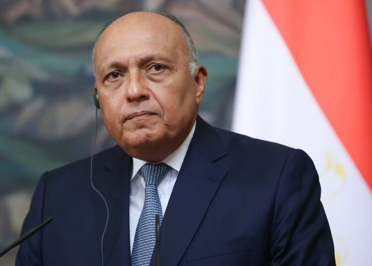FM to travel to Hungary for talks on boosting relations 1 - Egyptian Gazette