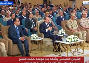 Sisi stresses importance of rationalizing, preserving water used in agriculture