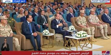 Sisi stresses importance of rationalizing, preserving water used in agriculture