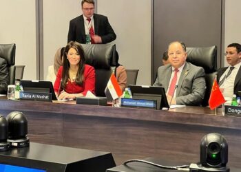 Int’l co-operation min. lauds Egyptian expertise in development finance