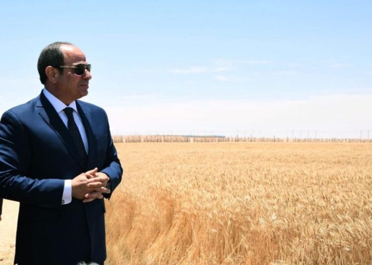 President Sisi witnesses inauguration of wheat harvest season in East Oweinat 1 - Egyptian Gazette