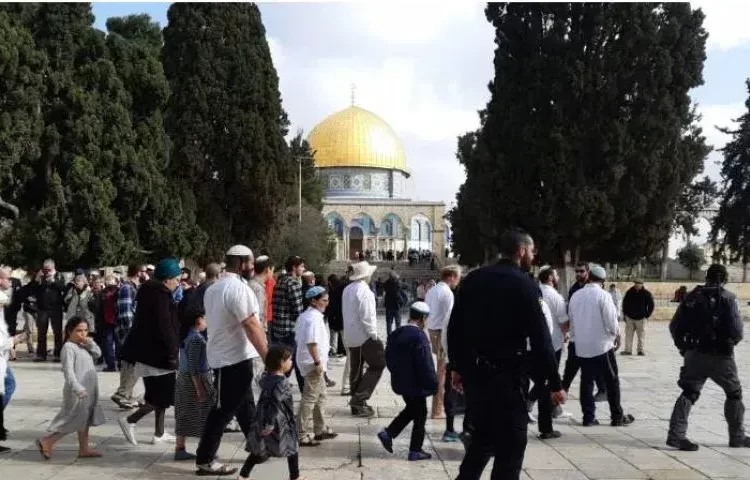Israeli settlers storm Al Aqsa Mosque under police protection 2 - Egyptian Gazette Israeli settlers storm Al Aqsa Mosque under police protection 1 - Egyptian Gazette