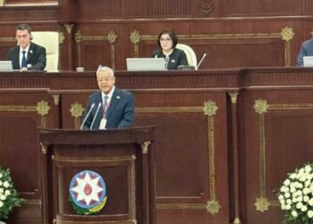 Egypt saves no efforts to boost historic ties with Azerbaijan: Parl’t speaker