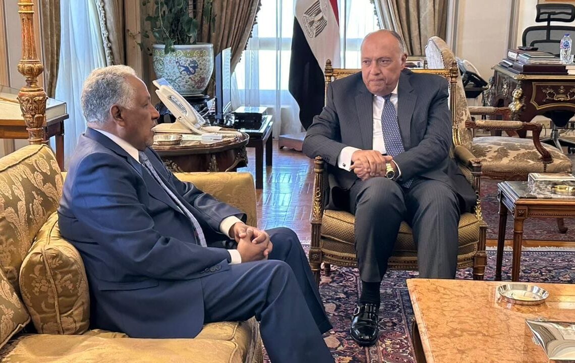 Sisi gives directives to provide care, hospitality to Sudanese brethren 1 - Egyptian Gazette