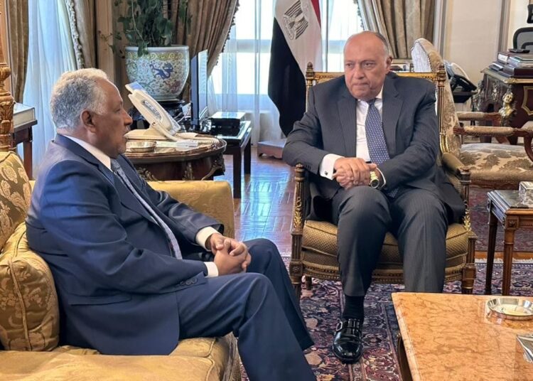 Sisi gives directives to provide care, hospitality to Sudanese brethren 1 - Egyptian Gazette