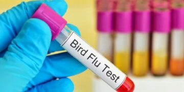 Brazil investigates suspected bird flu case in human 1 - Egyptian Gazette Brazil investigates suspected bird flu case in human