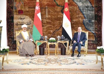 Egypt-Oman summit talks reflect shared views on realising stability, security in region