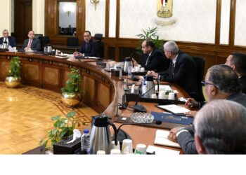 Medication manufacturing industry under review