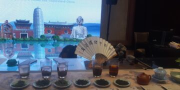 Chinese tea tradition Celebrated in Cairo 1 - Egyptian Gazette Chinese tea tradition Celebrated in Cairo