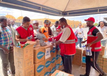 Japanese aid for Sudan refugees in Egypt
