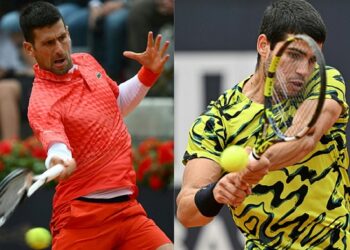Djokovic, Alcaraz cruise at French Open