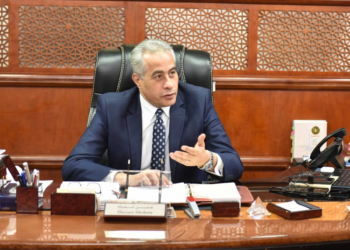 National strategy for employment to be swiftly finalized under Sisi directives