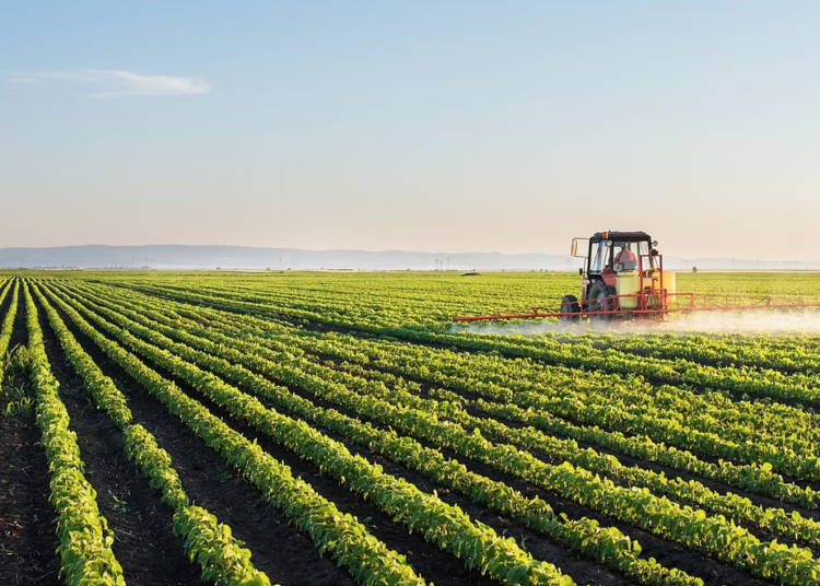 Untreated sludge causing disease, sometimes death 2 - Egyptian Gazette Untreated sludge causing disease, sometimes death 1 - Egyptian Gazette