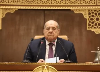 Senate discusses govt policy to export electricity surplus to Europe