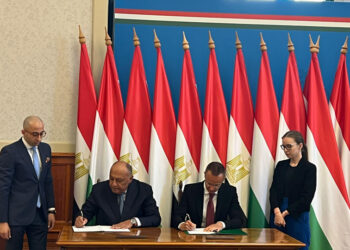 Egypt, Hungary probe ways to boost economic, trade ties