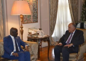 Shoukry, Mauritanian counterpart review bilateral ties, regional issues