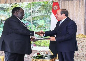 Sisi stresses importance of encouraging Sudanese parties to consolidate ceasefire