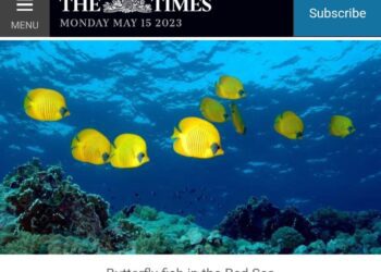 Pointers for an Egyptian visit by a British daily