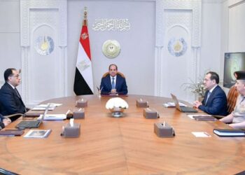 Sisi reviews efforts to develop mineral wealth