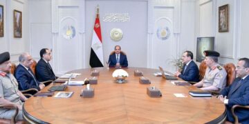 Sisi reviews efforts to develop mineral wealth