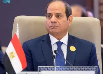 Cairo, Riyadh keen on boosting ties at all levels