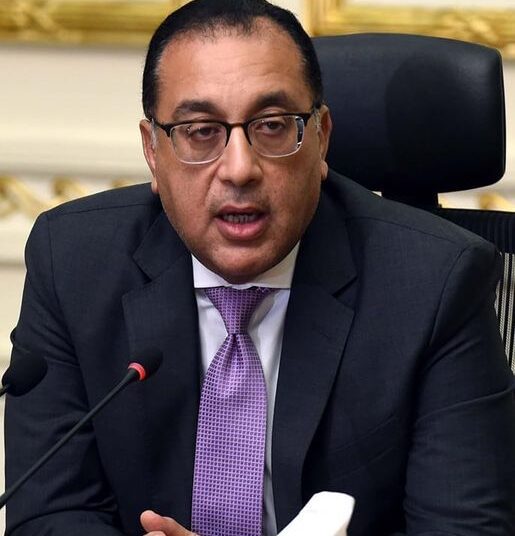 PM reviews report on launching Mobile Libraries 11 - Egyptian Gazette