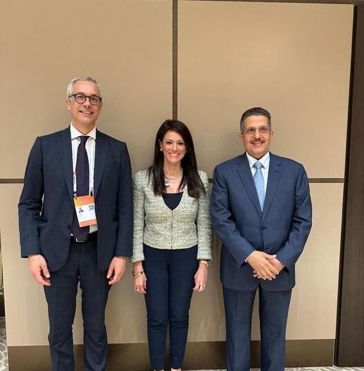 Mashat, ACWA Power discuss boosting company's investments in Egypt 1 - Egyptian Gazette