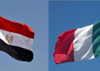 Italy is Egypt’s first European trade partner – diplomat