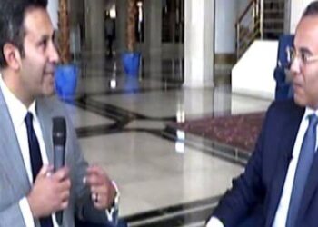 Presidential Spox: Egypt is keen on boosting joint Arab action