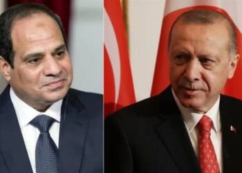 Sisi congratulates Erdoğan over re-election as president
