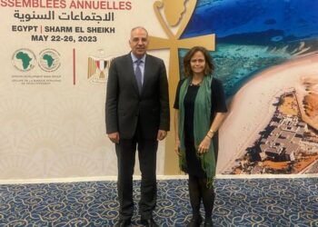 Irrigation min. calls for stepping up cooperation with African countries