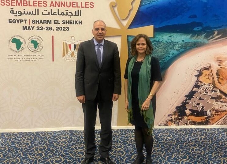 Irrigation min. calls for stepping up cooperation with African countries 1 - Egyptian Gazette