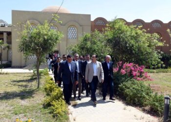 PM underlines need to optimise use of investment assets in Giza