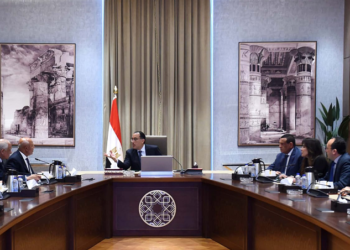 ‘State keen on developing Grand Egyptian Museum surrounding area’