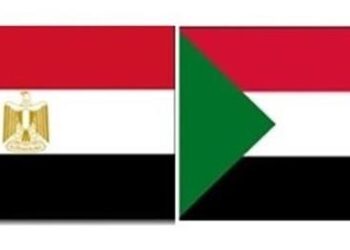 Egypt provides Sudan’s Northern State with all goods, services, says governor