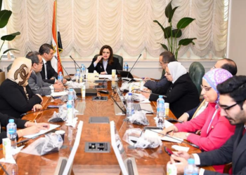 ‘Conf. of Egyptians abroad is of special importance’