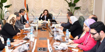 ‘Conf. of Egyptians abroad is of special importance’