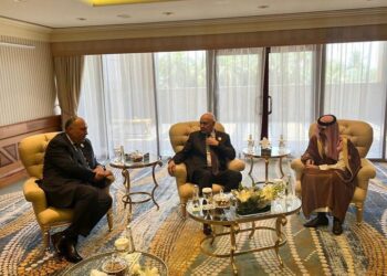 FM participates in 1st meeting of Arab ministerial group on Sudan