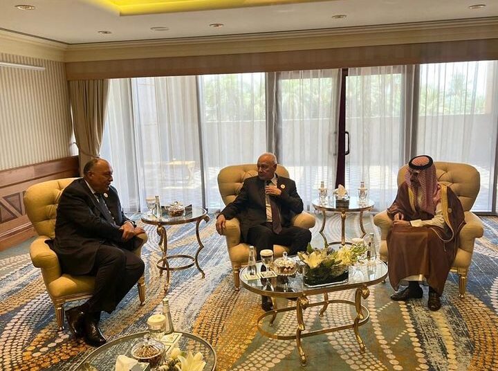 FM participates in 1st meeting of Arab ministerial group on Sudan 1 - Egyptian Gazette