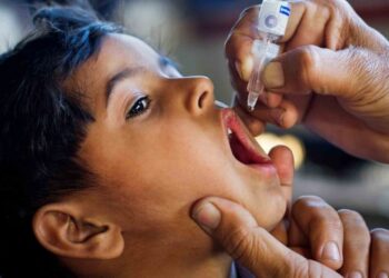 ‘Egypt free from polio’