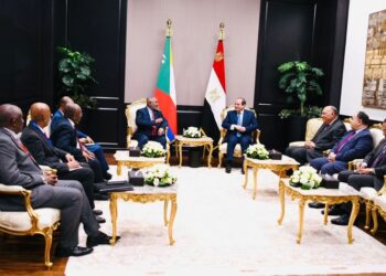 Sisi holds extensive talks with African leaders, senior officials
