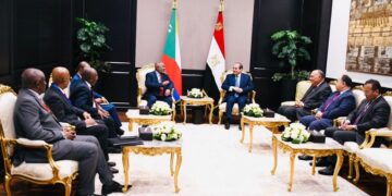 Sisi holds extensive talks with African leaders, senior officials