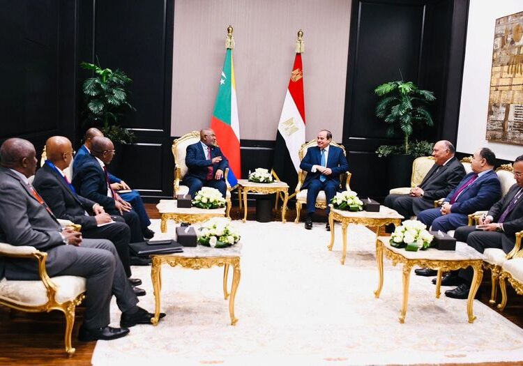 Sisi holds extensive talks with African leaders, senior officials 1 - Egyptian Gazette