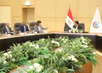 Health, population conf. preparation reviewed with UN