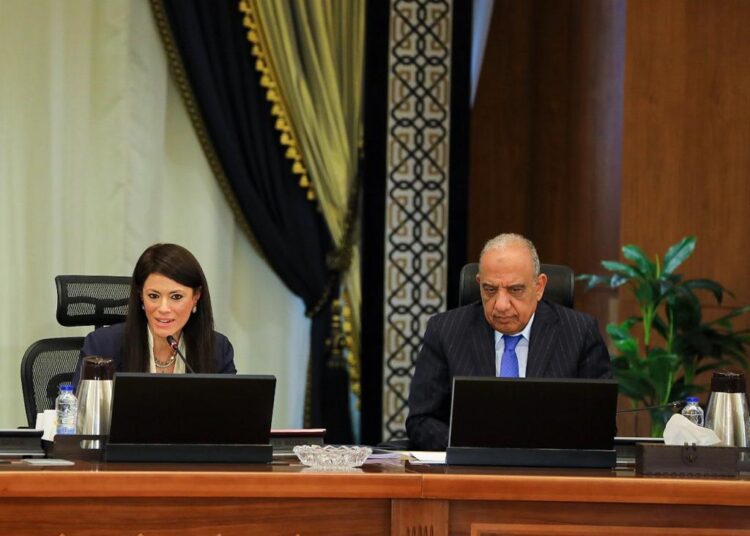 Egypt has partnership ties, co-operation with IFC- Mashat 1 - Egyptian Gazette