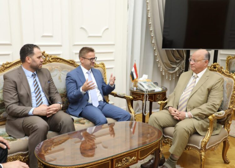 ‘Cairo offers all facilities for investors’ 1 - Egyptian Gazette