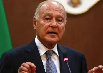 Arab-Chinese co-operation ‘valuable’ opportunity to lure investment in Arab region: AL chief