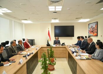 Egypt, Japan enjoy longstanding ties in water resources sphere: Minister